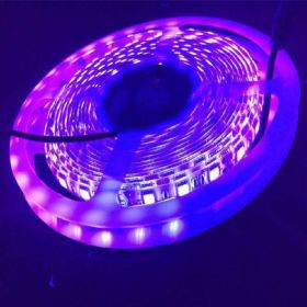 LED Purple Light UV Soft Patch Light With Low Voltage (Option: 120 LightsM Epoxy-DC5V)